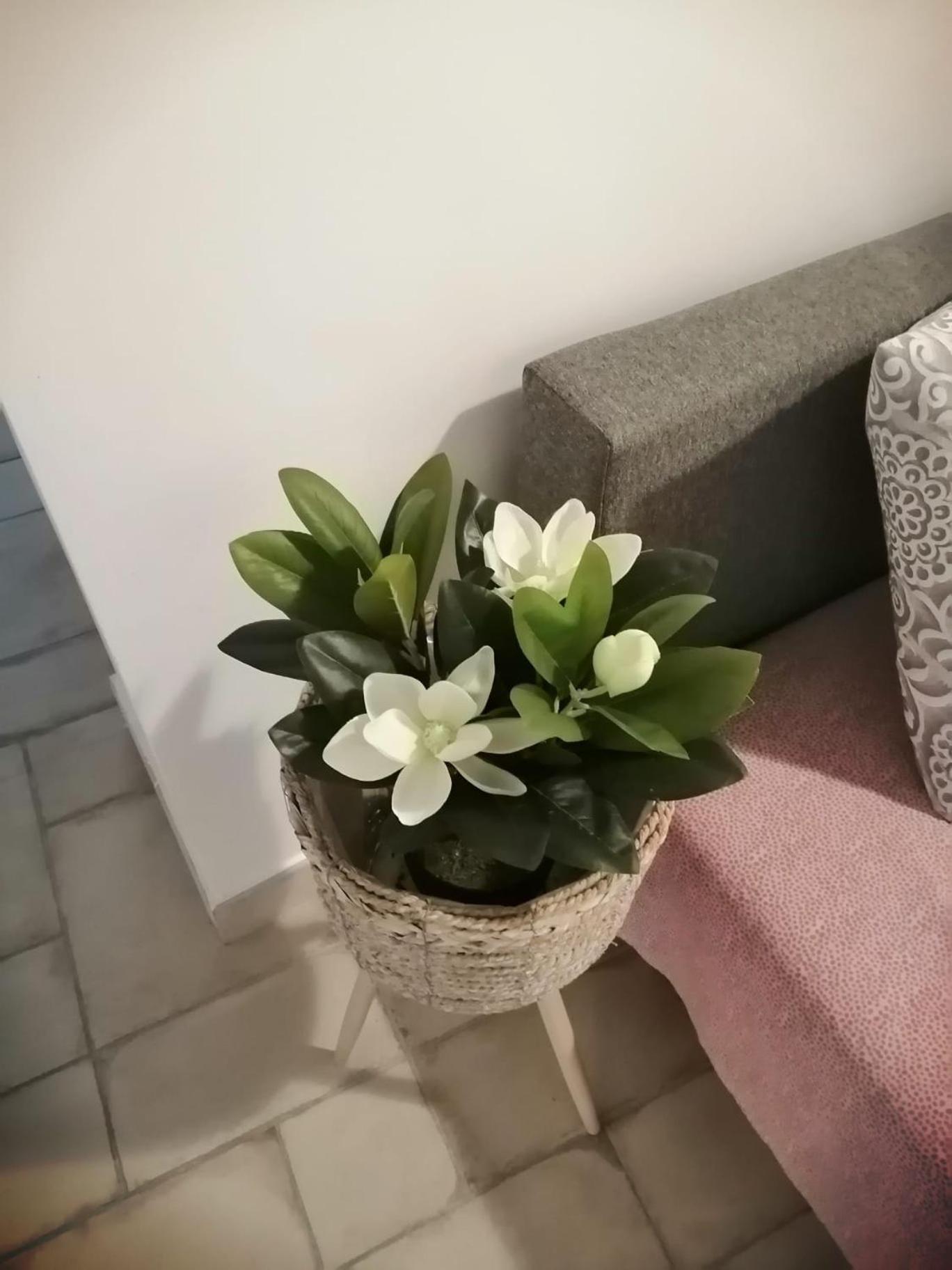 Apartamento Il Vicoletto Sul Castello Nápoles Exterior foto